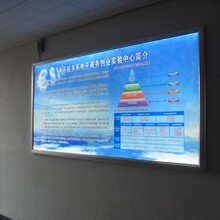 厦门喵君文化传媒 引领新时代广告传媒的创新力量